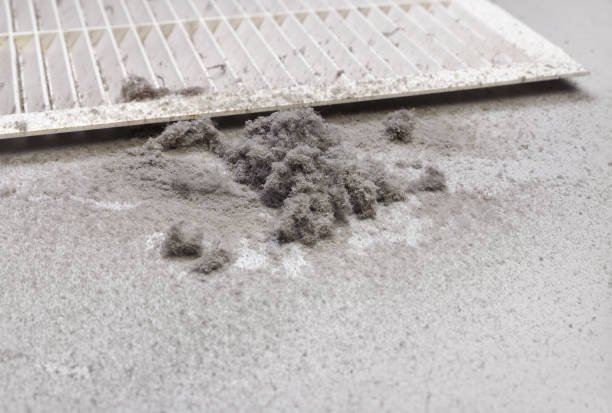 Best Professional Duct Cleaning Services  in Woodlands, CA